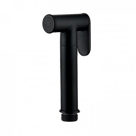 IDDIS Bidet Hand Shower 020BBLGi20