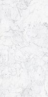 Leonardo One QUA SW 150 LP