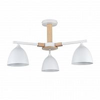 Lumion  8095/3C