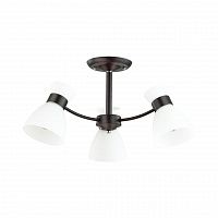 Lumion Wilma 4534/3C