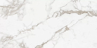 New Trend Calacatta Arabesque 60120ARS01P