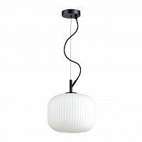 Odeon Light Roofi 4753/1