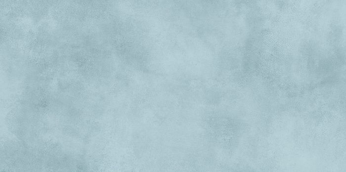 Керамическая плитка Alma Ceramica Richard 24.9x50