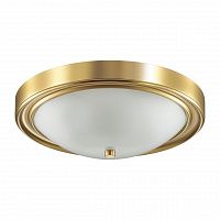 Lumion Nina 5259/3C