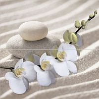 Alma Ceramica Relax PWU09RLX1