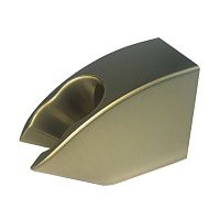 IDDIS Shower Holder 060BP00i53