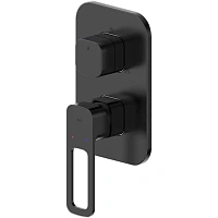 IDDIS Slide SLIBL00i68