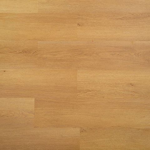 Alta Step Excelente SPC6610