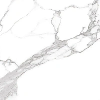 Global Tile Oasis GT60602503MR