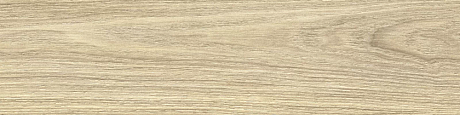 New Trend Aspen GP1560ASP21