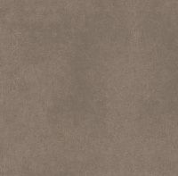 Estima Кейв CA04/NS_R9/60x60x10R/GC