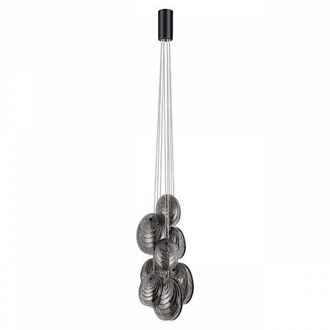 Odeon Light Mussels 5038/8