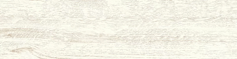 New Trend Mainau GP1560MNU01