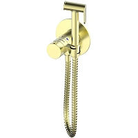 Oliveeka  OL-829909-BG